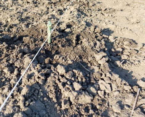 IMG-7a03d71b87acab3a35f6711595f45a47-V