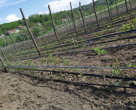 IMG-a1ad7f2c2b5fb6b08c4a45e6db680c72-V