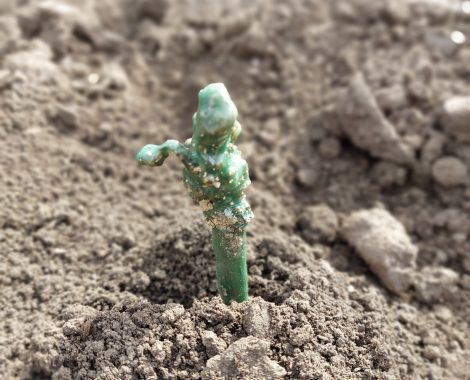 IMG-d4a10f5ae831e3acb1de1bd52155661f-V